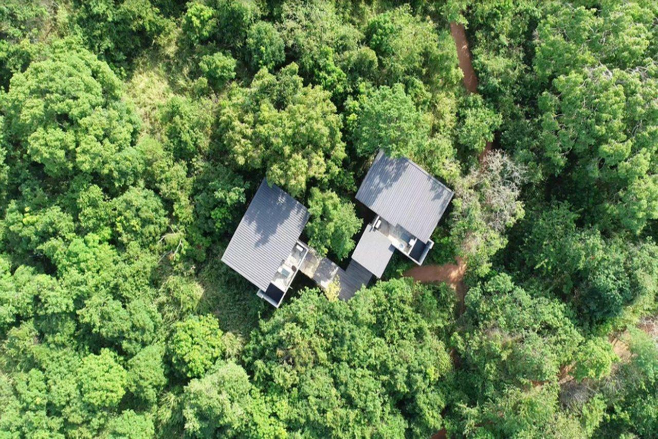 Wild Grass Nature Resort Sigiriya Exterior foto
