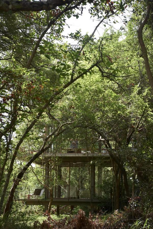 Wild Grass Nature Resort Sigiriya Exterior foto