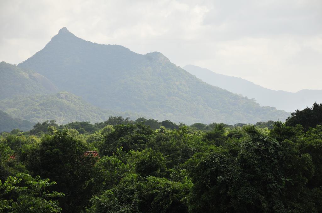 Wild Grass Nature Resort Sigiriya Exterior foto