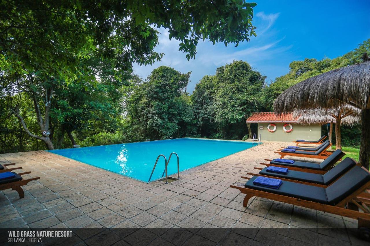 Wild Grass Nature Resort Sigiriya Exterior foto