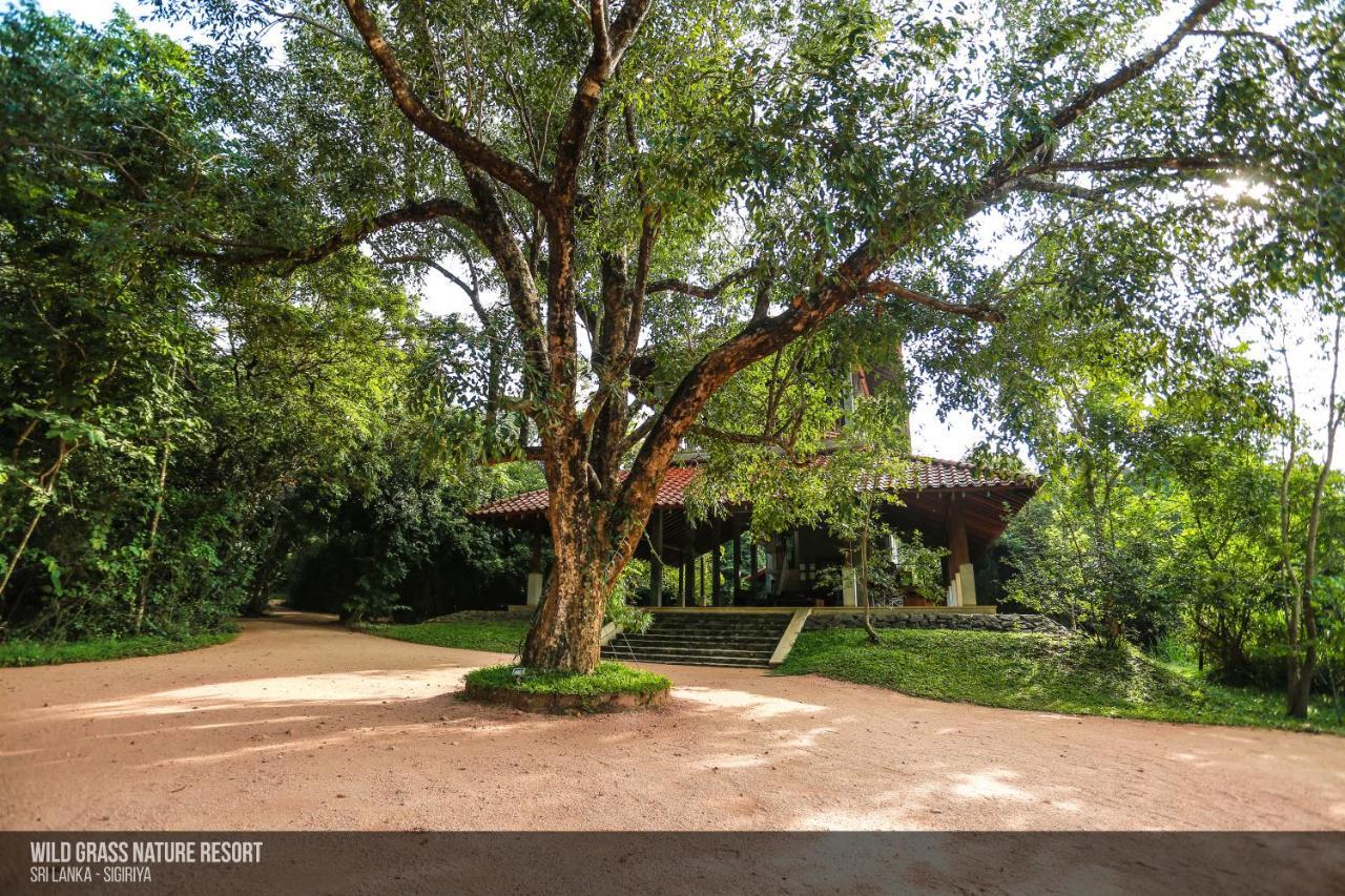 Wild Grass Nature Resort Sigiriya Exterior foto