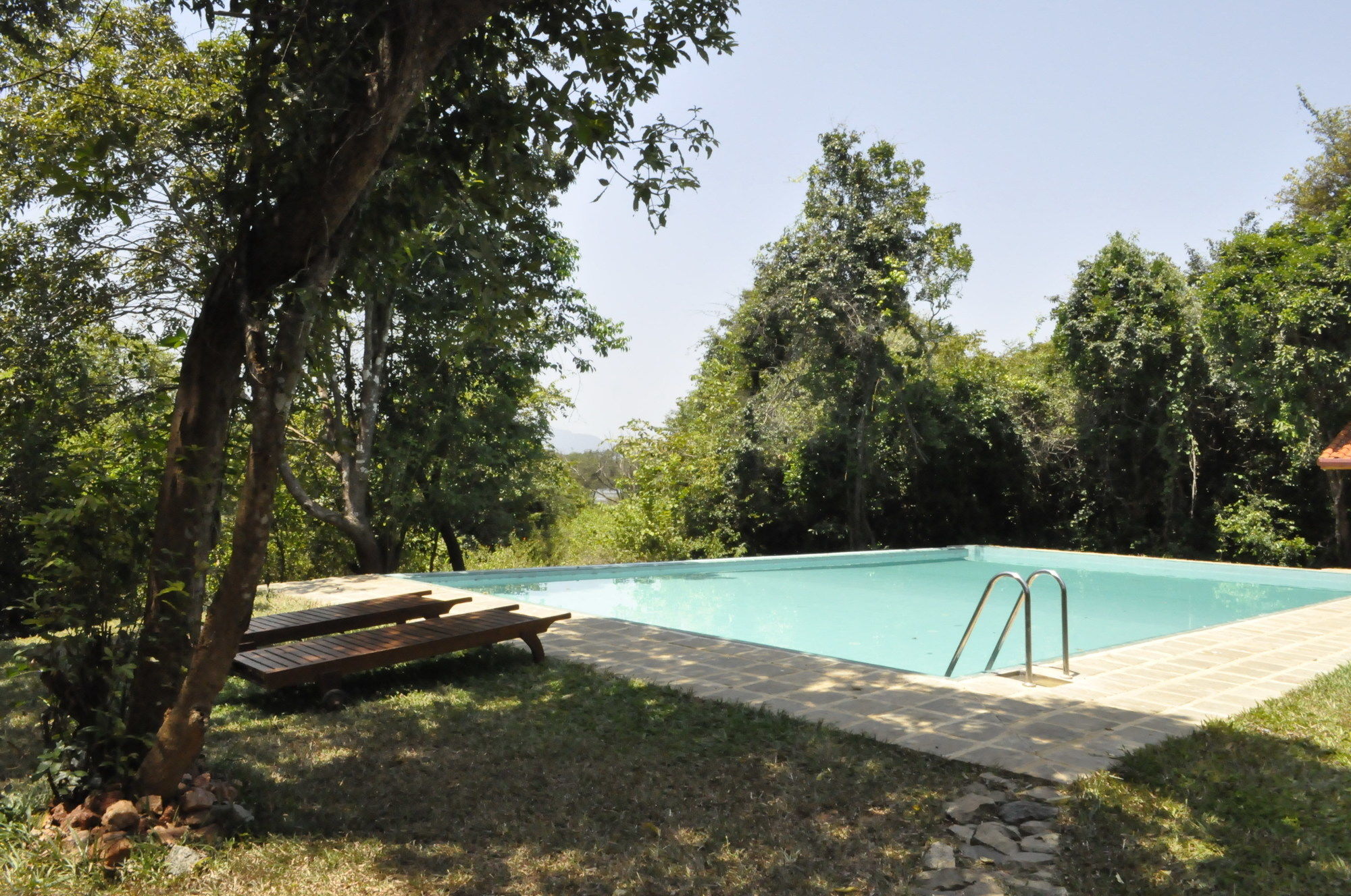 Wild Grass Nature Resort Sigiriya Exterior foto