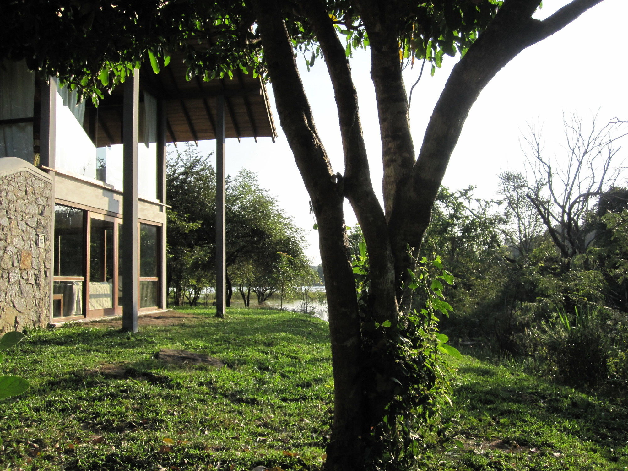 Wild Grass Nature Resort Sigiriya Exterior foto