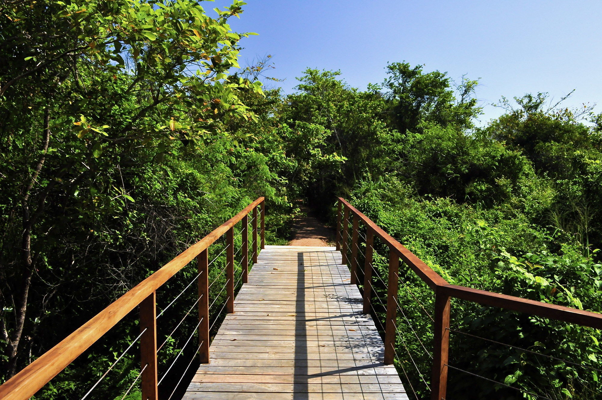 Wild Grass Nature Resort Sigiriya Exterior foto